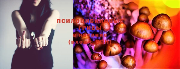 MESCALINE Мегион