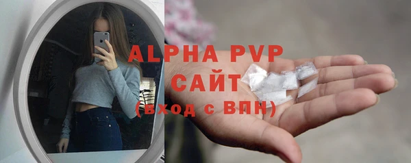 амф Белая Холуница