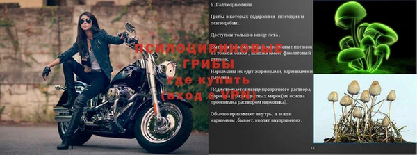 синтетический гашиш Медногорск