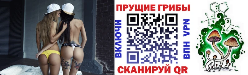 ссылка на мегу сайт  магазин    Гаджиево  Псилоцибиновые грибы прущие грибы 